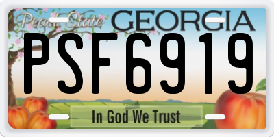 GA license plate PSF6919