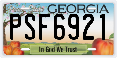 GA license plate PSF6921
