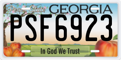 GA license plate PSF6923