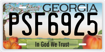 GA license plate PSF6925