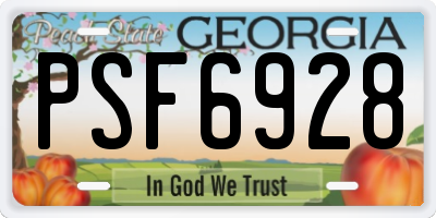 GA license plate PSF6928