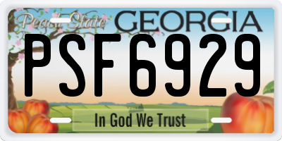 GA license plate PSF6929