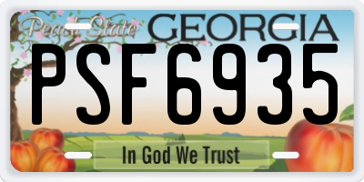 GA license plate PSF6935