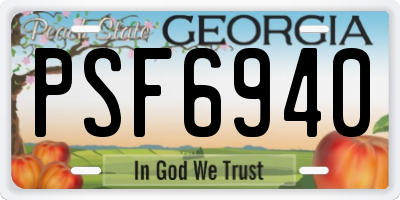 GA license plate PSF6940