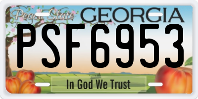 GA license plate PSF6953