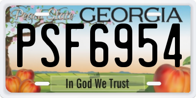 GA license plate PSF6954