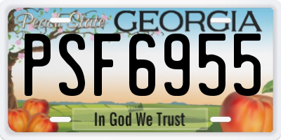 GA license plate PSF6955