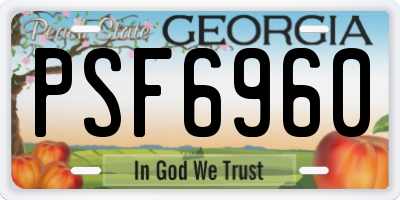 GA license plate PSF6960