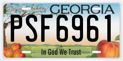 GA license plate PSF6961
