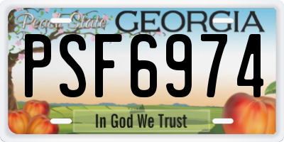 GA license plate PSF6974