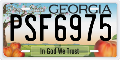GA license plate PSF6975