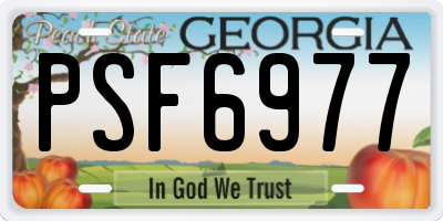 GA license plate PSF6977