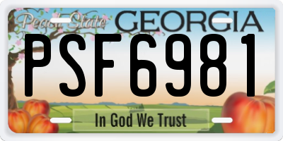 GA license plate PSF6981