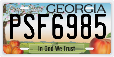 GA license plate PSF6985