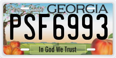GA license plate PSF6993
