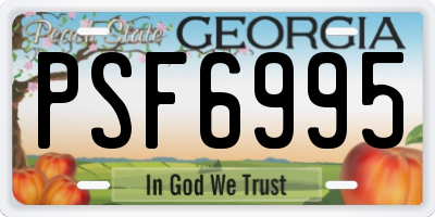 GA license plate PSF6995