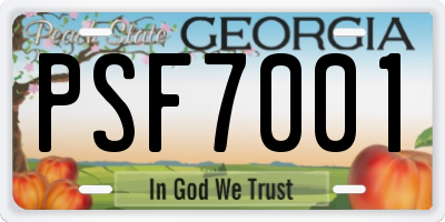 GA license plate PSF7001