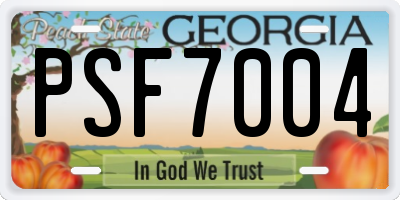 GA license plate PSF7004