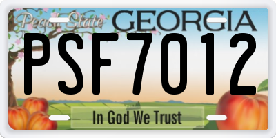 GA license plate PSF7012