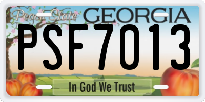 GA license plate PSF7013