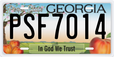 GA license plate PSF7014