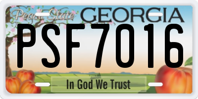 GA license plate PSF7016