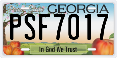 GA license plate PSF7017