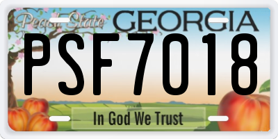 GA license plate PSF7018