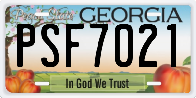 GA license plate PSF7021