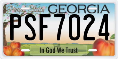 GA license plate PSF7024