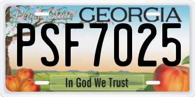 GA license plate PSF7025