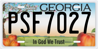 GA license plate PSF7027