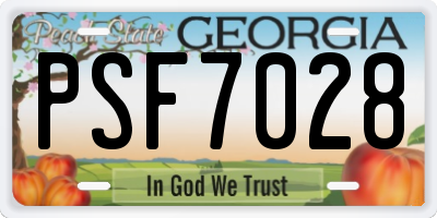 GA license plate PSF7028