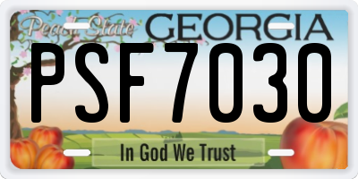 GA license plate PSF7030