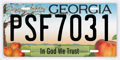GA license plate PSF7031
