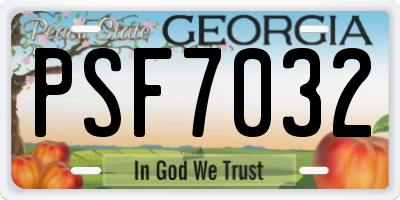 GA license plate PSF7032