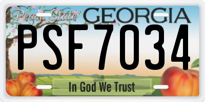 GA license plate PSF7034