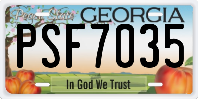 GA license plate PSF7035
