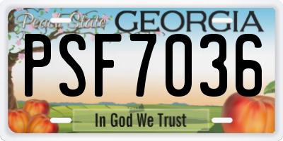 GA license plate PSF7036