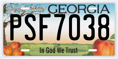 GA license plate PSF7038