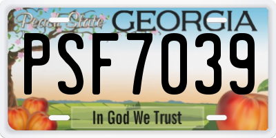 GA license plate PSF7039