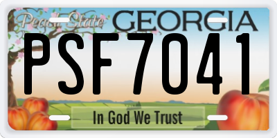 GA license plate PSF7041