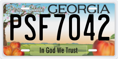 GA license plate PSF7042