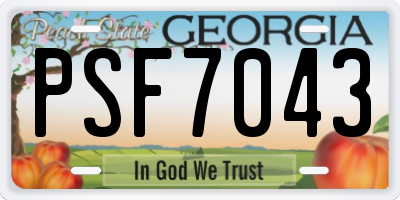 GA license plate PSF7043