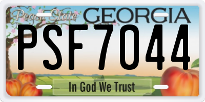 GA license plate PSF7044