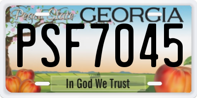 GA license plate PSF7045