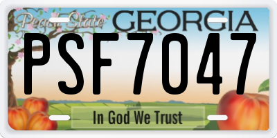 GA license plate PSF7047