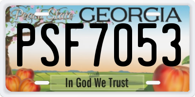 GA license plate PSF7053