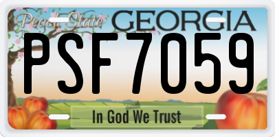 GA license plate PSF7059