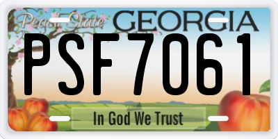 GA license plate PSF7061